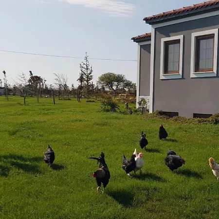 Adayel Bagevi & Butik Hotel Bozcaada