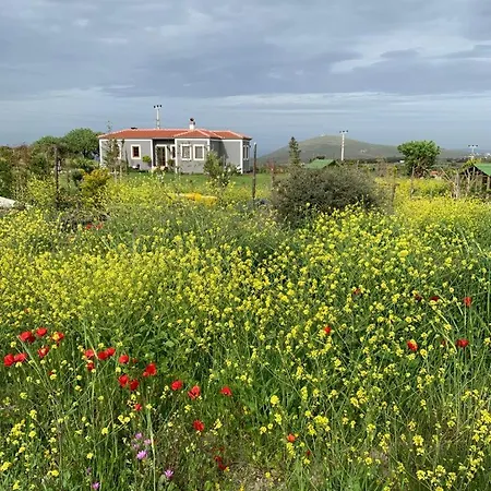 Adayel Bagevi & Butik *